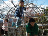 img0001.jpg