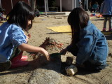 img0005.jpg
