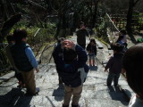 img0006.jpg