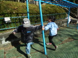 img0011.jpg