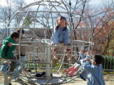 img0013.jpg