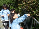 img0014.jpg