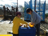 img0018.jpg