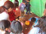 img0025.jpg