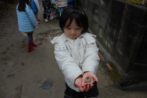 img0028.jpg