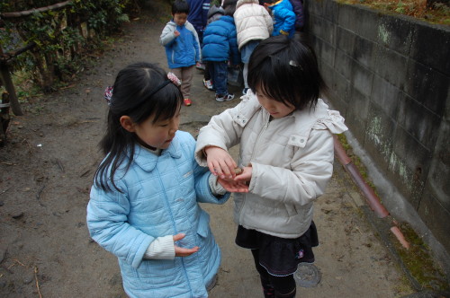 img0029.jpg