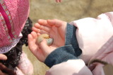 img0012.jpg