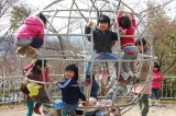 img0020.jpg