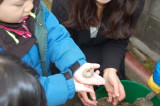 img0025.jpg