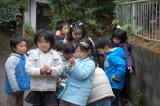img0027.jpg