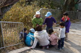 img0010.jpg