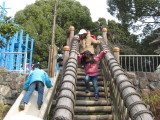 img0031.jpg