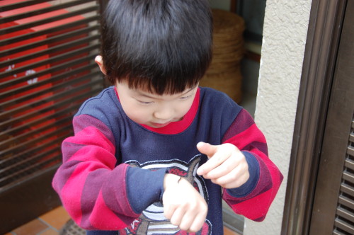 img0022.jpg