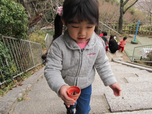 img0041.jpg