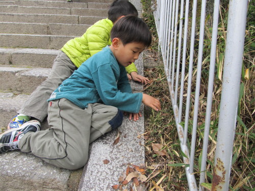 img0049.jpg
