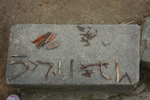 img0061.jpg