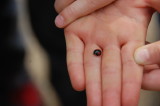 img0021.jpg