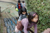 img0031.jpg