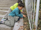 img0049.jpg