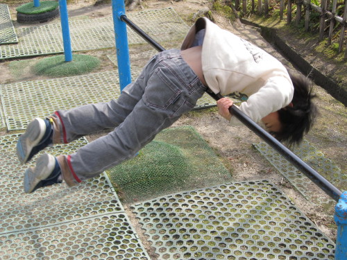 img0003.jpg
