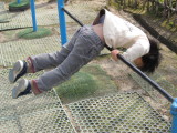 img0003.jpg