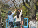 img0020.jpg
