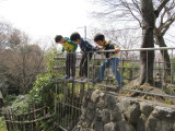 img0031.jpg