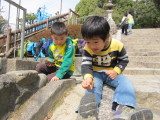 img0049.jpg