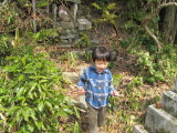 img0050.jpg