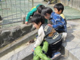 img0052.jpg