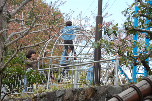 img0019.jpg