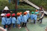 img0000.jpg