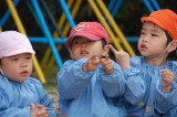 img0008.jpg