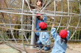 img0013.jpg