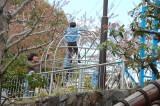 img0019.jpg