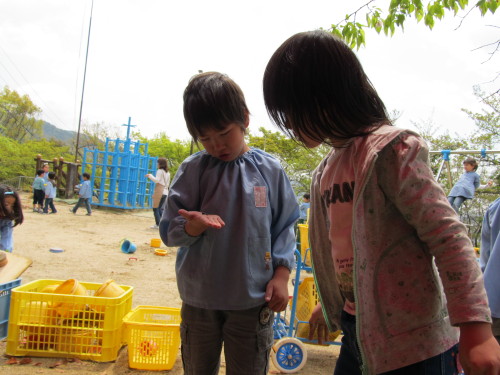 img0029.jpg