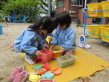 img0005.jpg