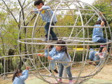 img0016.jpg