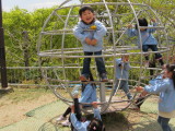 img0017.jpg