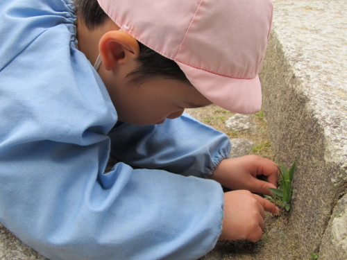img0021.jpg