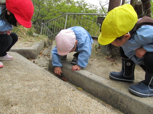 img0042.jpg
