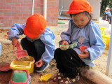 img0003.jpg