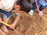img0005.jpg
