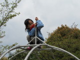 img0013.jpg