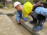 img0023.jpg