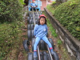 img0029.jpg