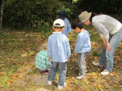 img0028.jpg