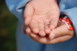 img0005.jpg