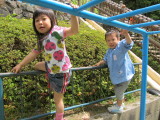img0010.jpg