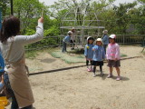 img0027.jpg